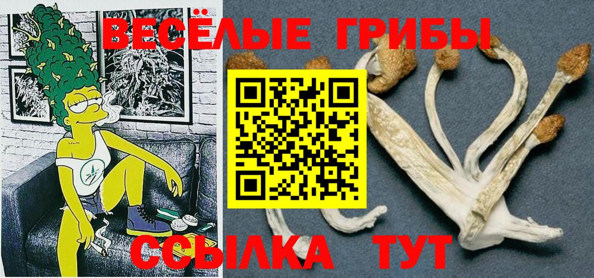 Псилоцибиновые грибы прущие грибы  Вход с VPN  Кизляр  Галлюциногенные грибы Psilocybine cubensis 
